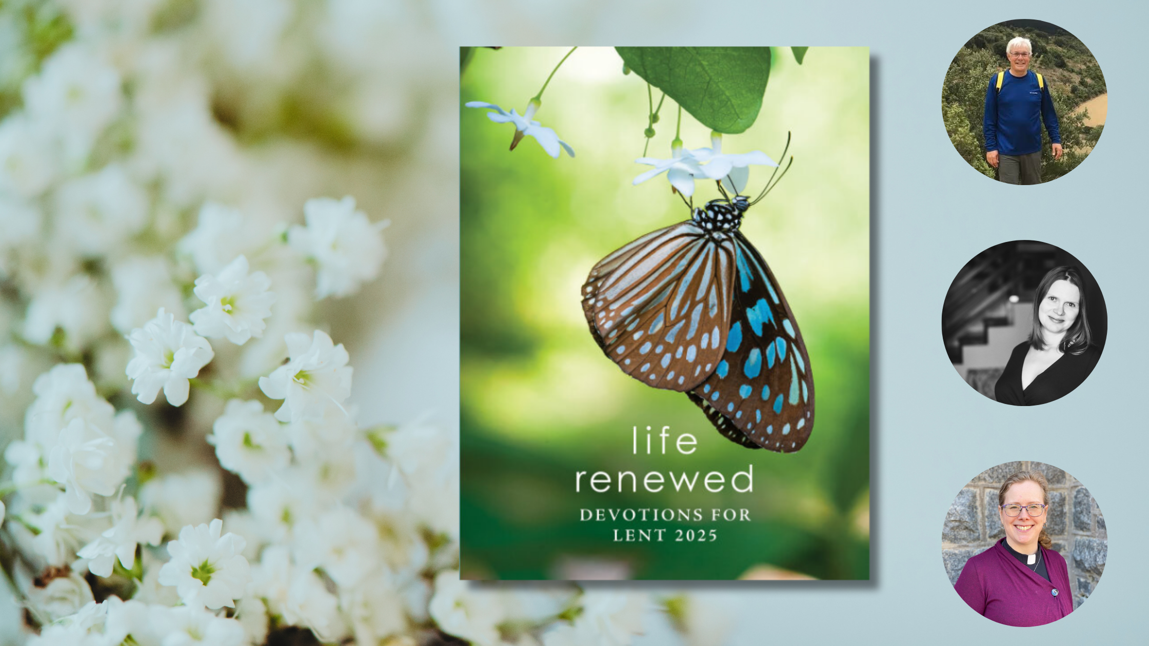 Life Renewed Diving into Lenten Devotions